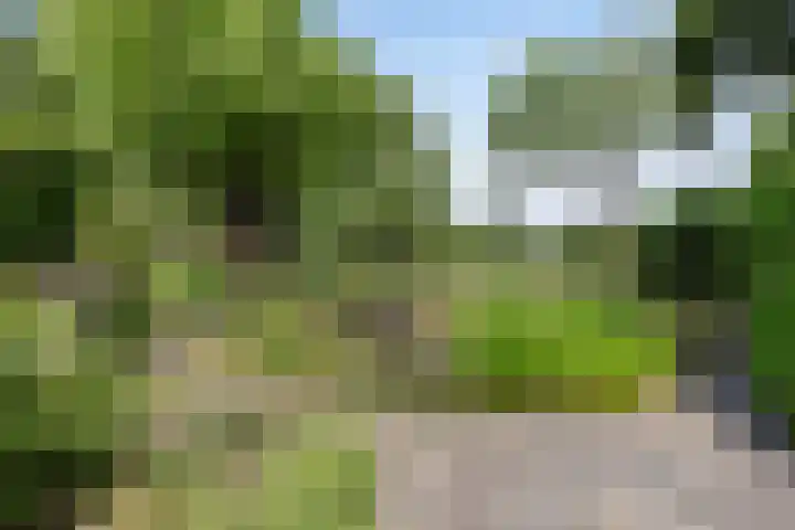 Nissestelle 12 Ovezande thumbnail 38