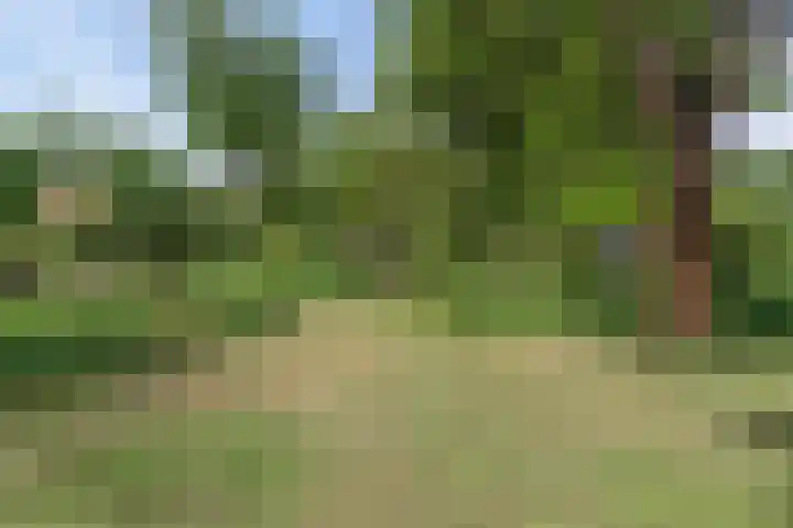 Nissestelle 12 Ovezande thumbnail 39