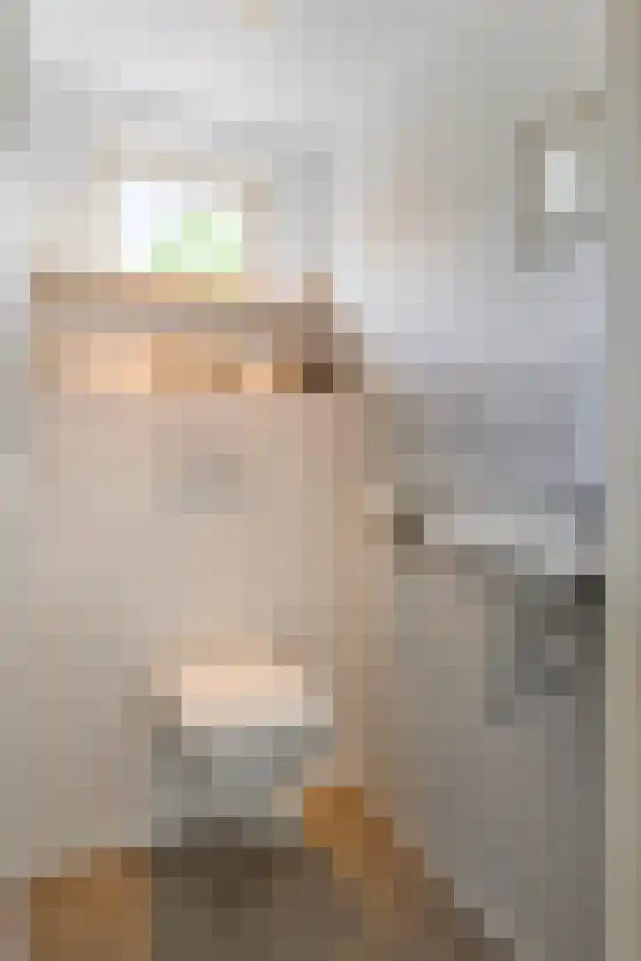Nissestelle 12 Ovezande thumbnail 4