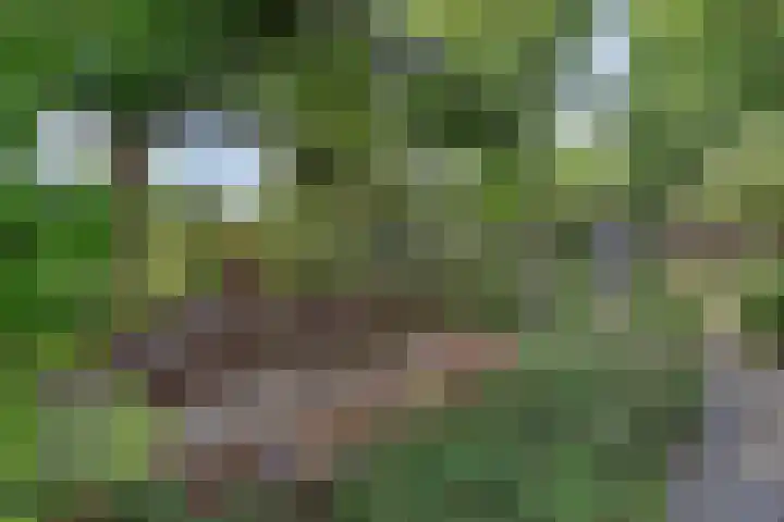 Nissestelle 12 Ovezande thumbnail 40