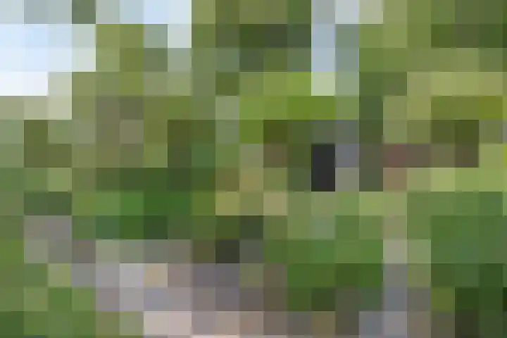 Nissestelle 12 Ovezande thumbnail 41