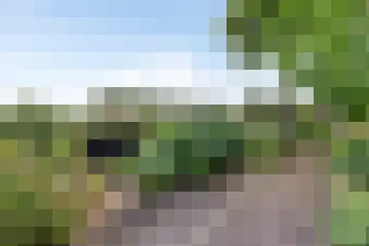 Nissestelle 12 Ovezande thumbnail 42