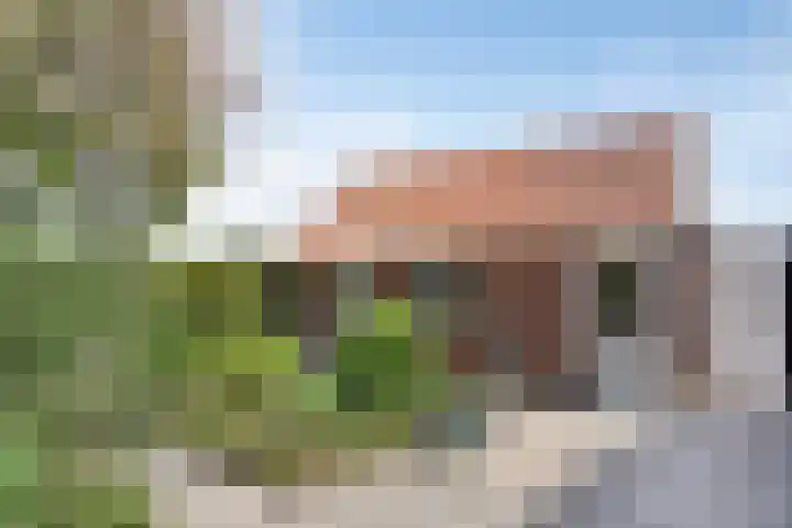 Nissestelle 12 Ovezande thumbnail 45
