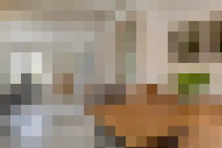 Nissestelle 12 Ovezande thumbnail 6
