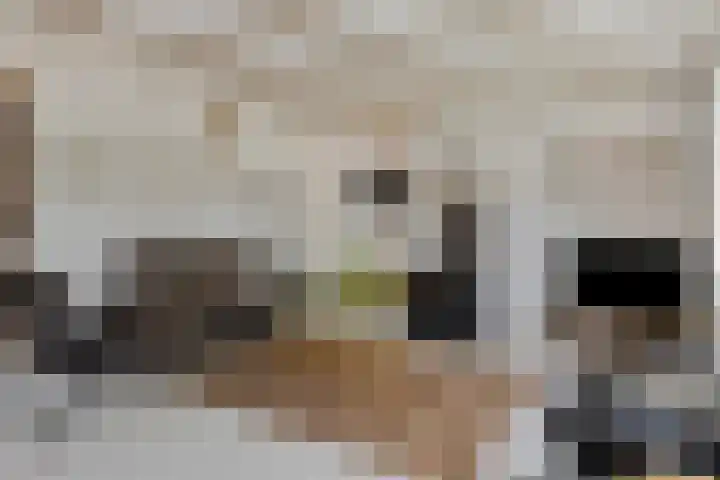 Nissestelle 12 Ovezande thumbnail 8
