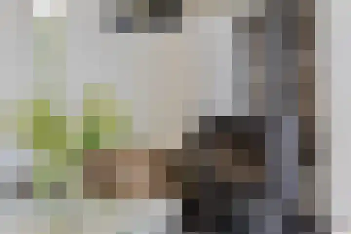 Nissestelle 12 Ovezande thumbnail 9