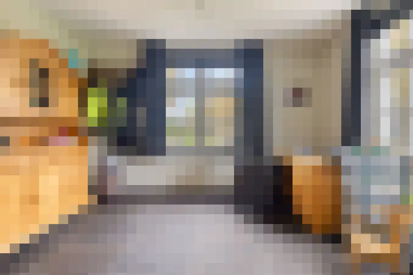 Nistelrodesedijk 19 Vorstenbosch thumbnail 21