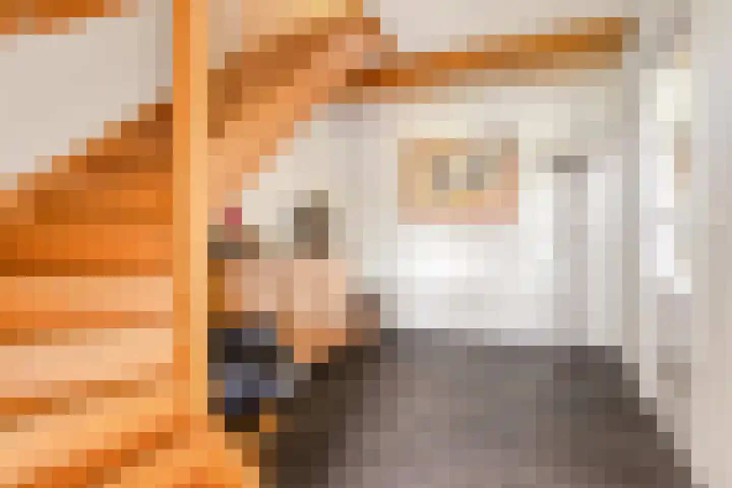 Nistelrodesedijk 19 Vorstenbosch thumbnail 22
