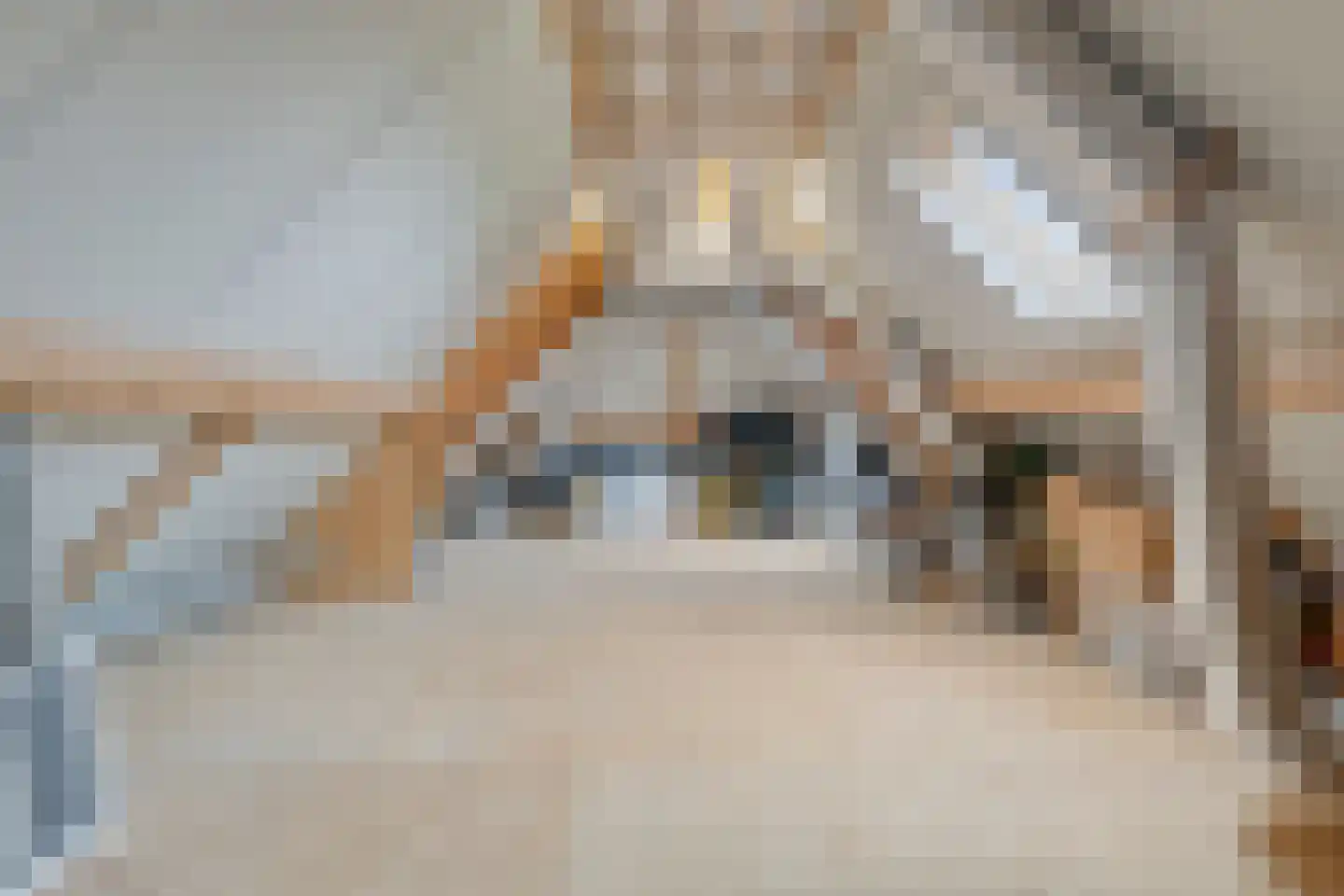 Nistelrodesedijk 19 Vorstenbosch thumbnail 40