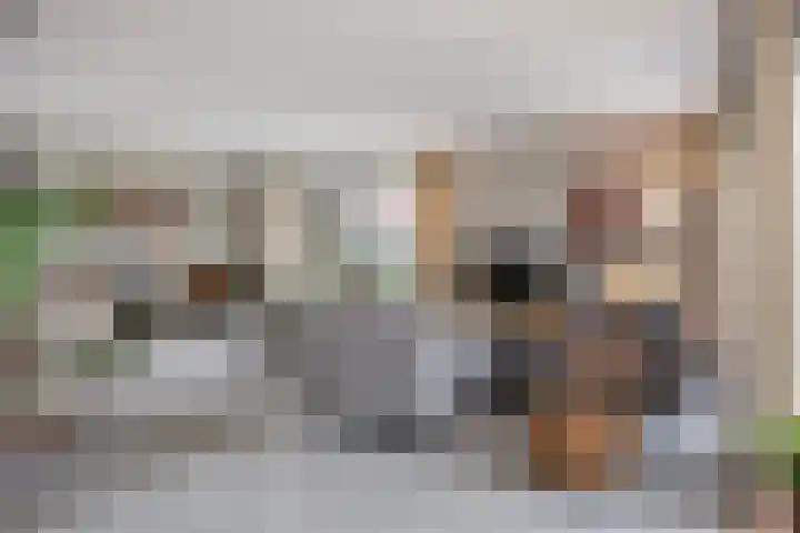 Nistelrodesedijk 7 Vorstenbosch thumbnail 11