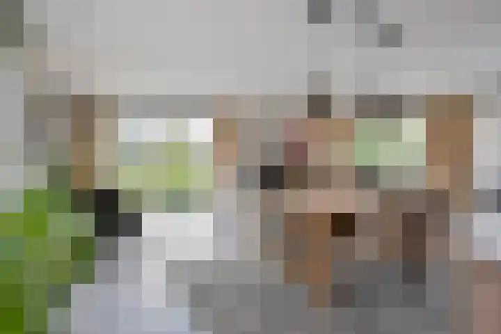 Nistelrodesedijk 7 Vorstenbosch thumbnail 13