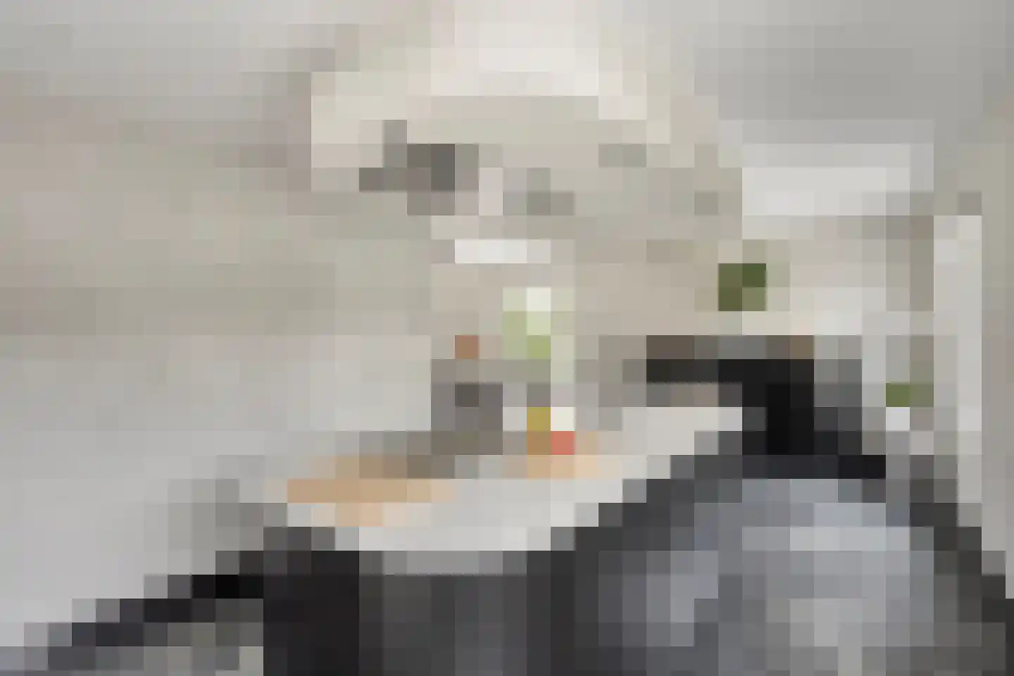 Nistelrodesedijk 7 Vorstenbosch thumbnail 32