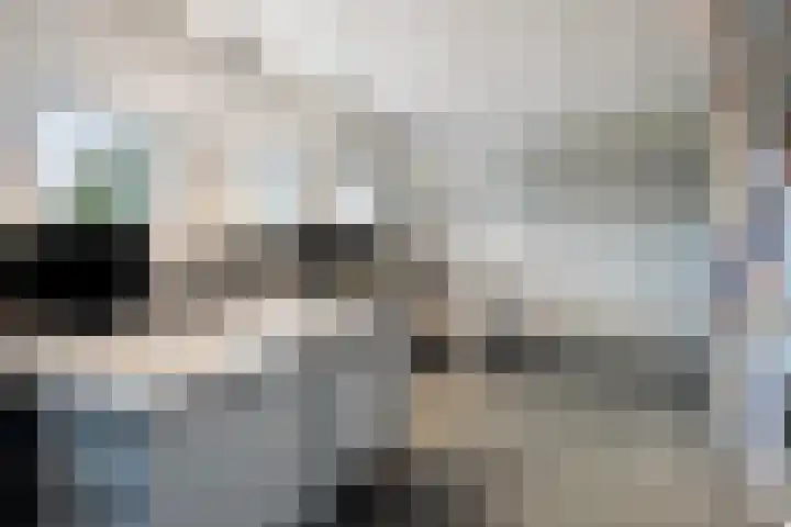 Nistelrodesedijk 7 Vorstenbosch thumbnail 35