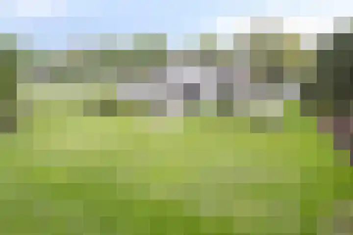 Nistelrodesedijk 7 Vorstenbosch thumbnail 38