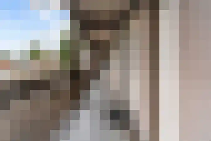 Nistelrodesedijk 7 Vorstenbosch thumbnail 40