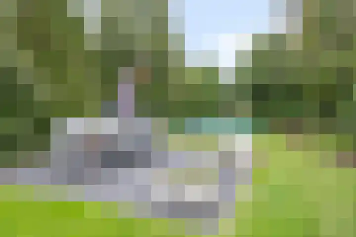 Nistelrodesedijk 7 Vorstenbosch thumbnail 44