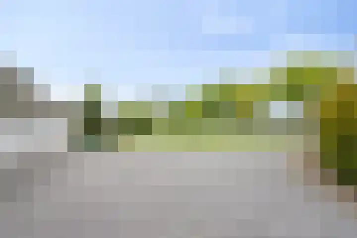 Nistelrodesedijk 7 Vorstenbosch thumbnail 5
