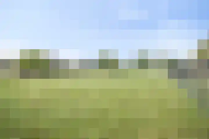 Nistelrodesedijk 7 Vorstenbosch thumbnail 50