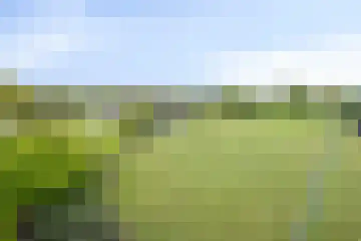 Nistelrodesedijk 7 Vorstenbosch thumbnail 51