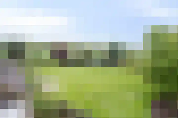 Nistelrodesedijk 7 Vorstenbosch thumbnail 52