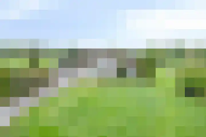 Nistelrodesedijk 7 Vorstenbosch thumbnail 59