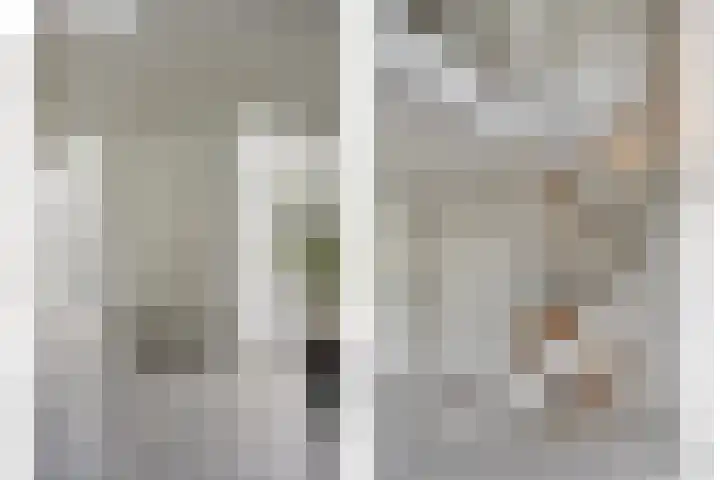 Nistelrodesedijk 7 Vorstenbosch thumbnail 6