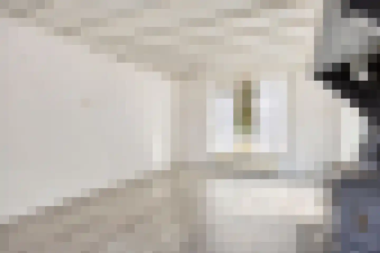 Nistelrodeseweg 24 Heesch thumbnail 10
