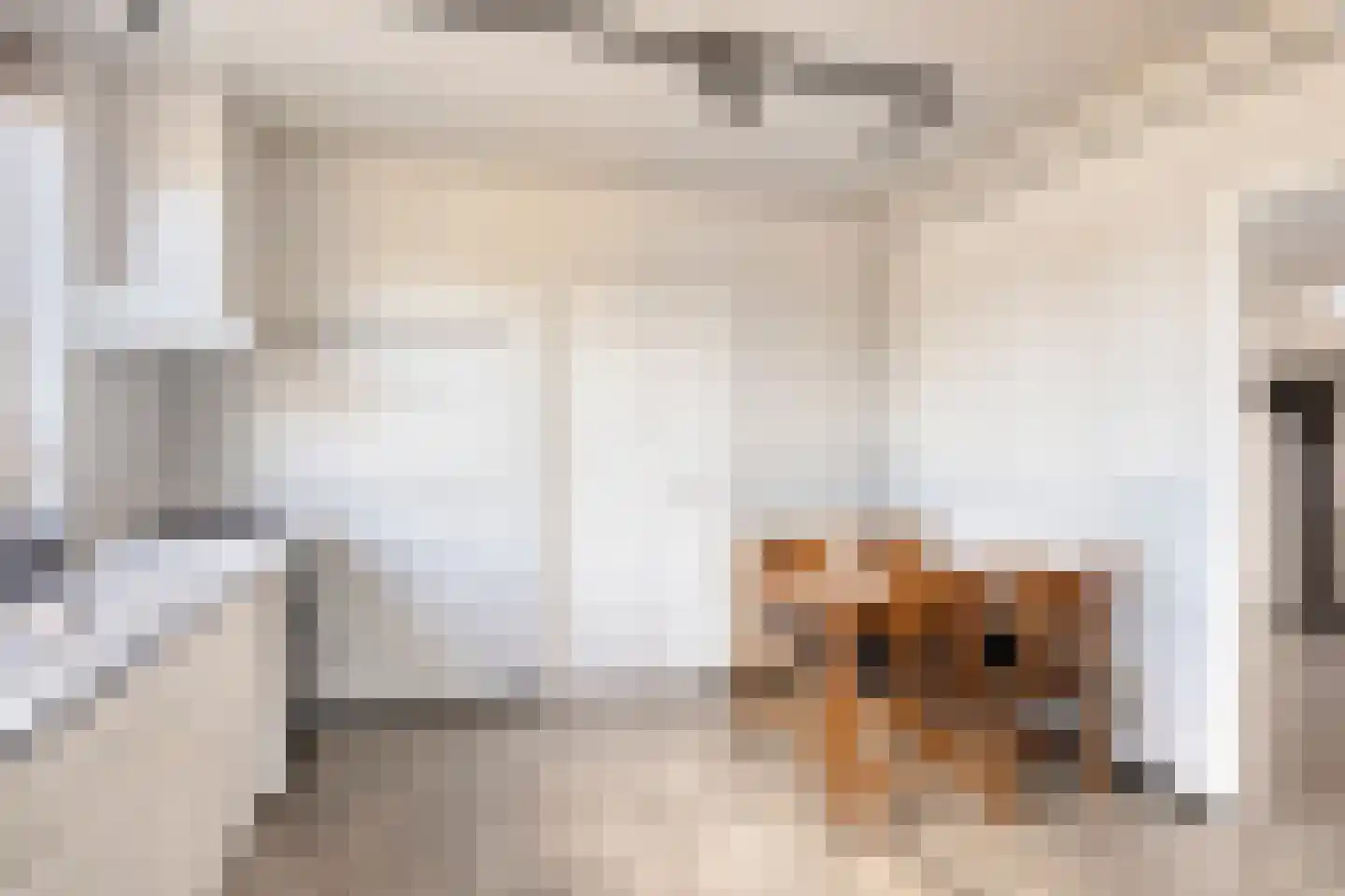 Nistelrodeseweg 24 Heesch thumbnail 13