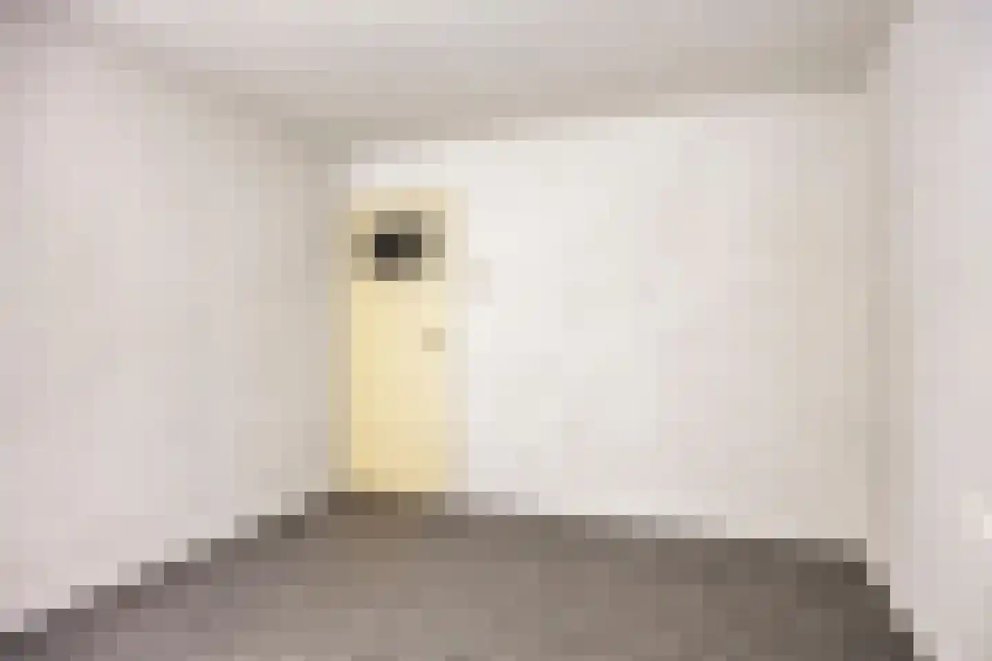 Nistelrodeseweg 24 Heesch thumbnail 21