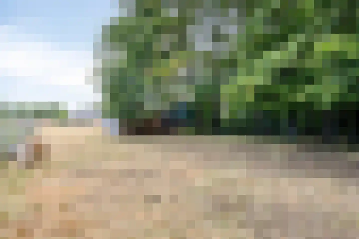 Nistelrodeseweg 24 Heesch thumbnail 26