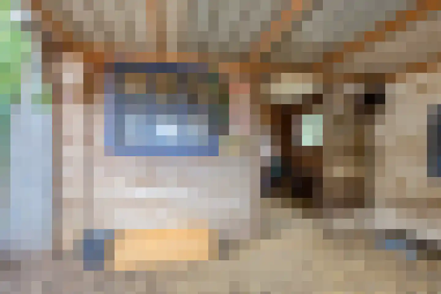 Nistelrodeseweg 24 Heesch thumbnail 27