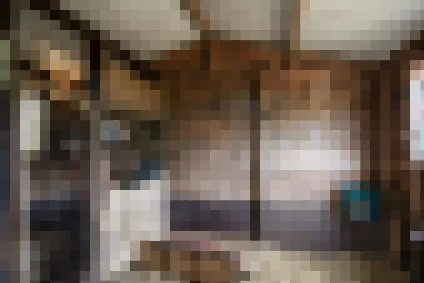 Nistelrodeseweg 24 Heesch thumbnail 28