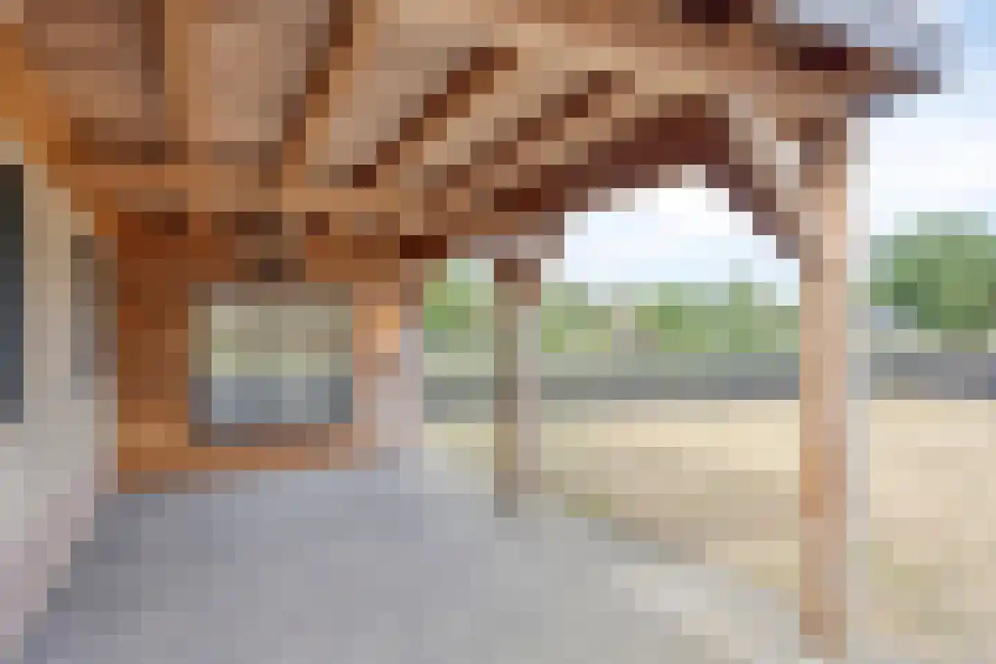 Nistelrodeseweg 24 Heesch thumbnail 35