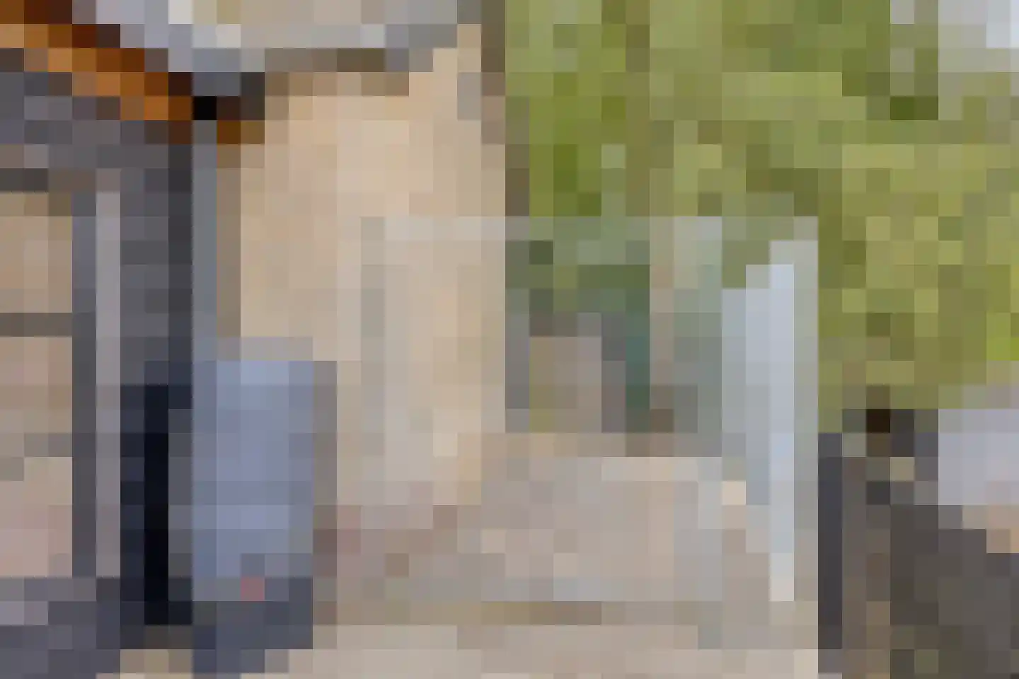 Nistelrodeseweg 24 Heesch thumbnail 38