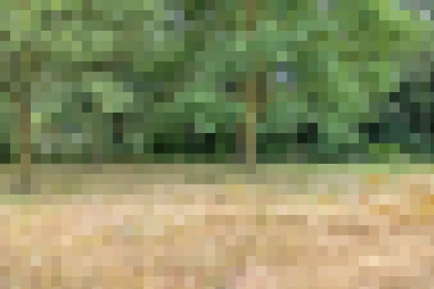 Nistelrodeseweg 24 Heesch thumbnail 39