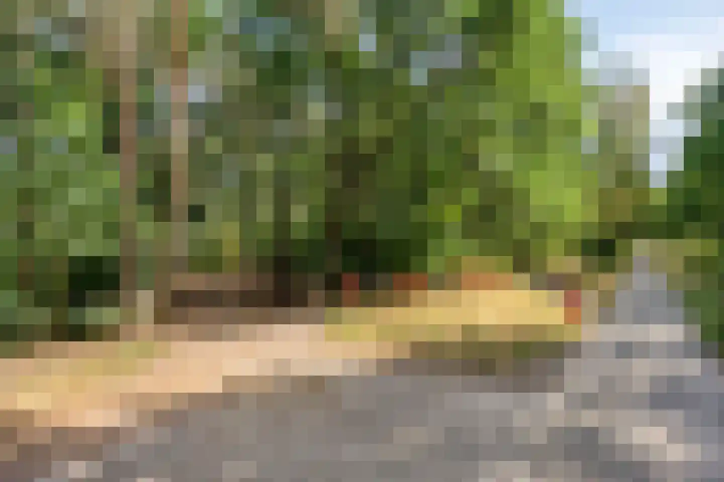 Nistelrodeseweg 24 Heesch thumbnail 41