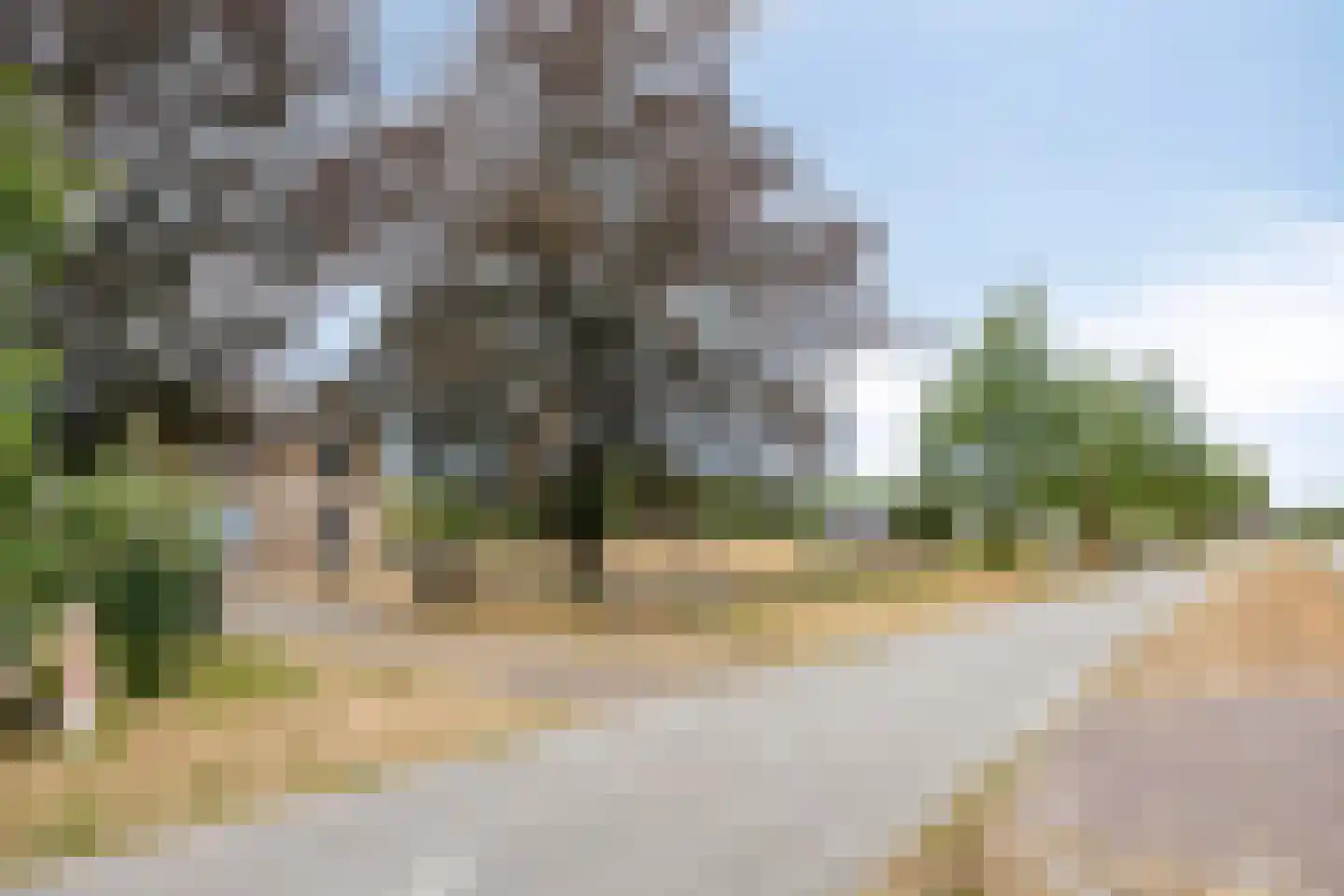 Nistelrodeseweg 24 Heesch thumbnail 42