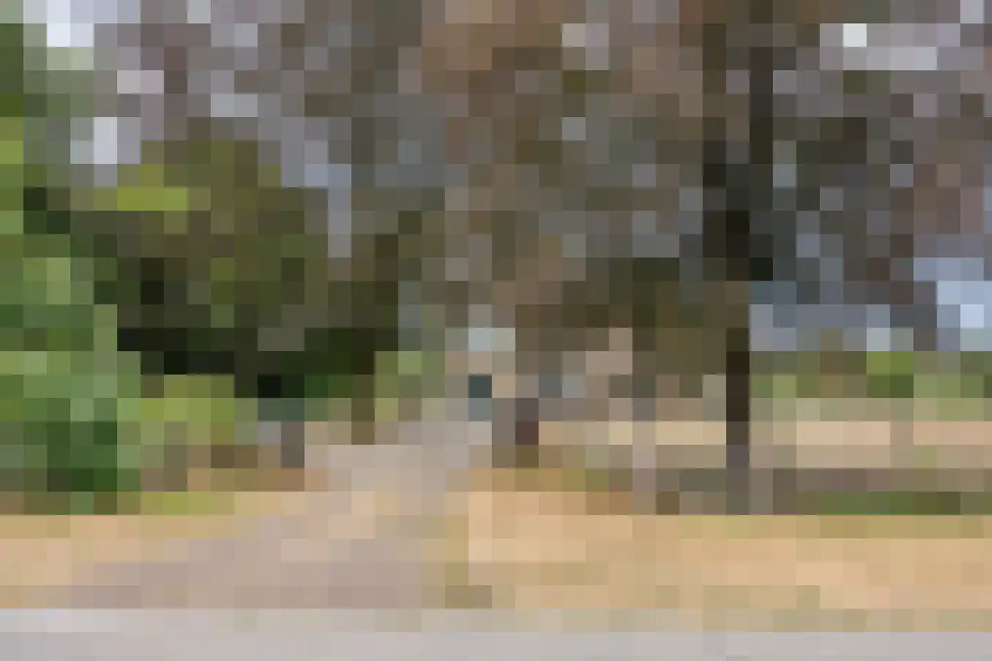 Nistelrodeseweg 24 Heesch thumbnail 43