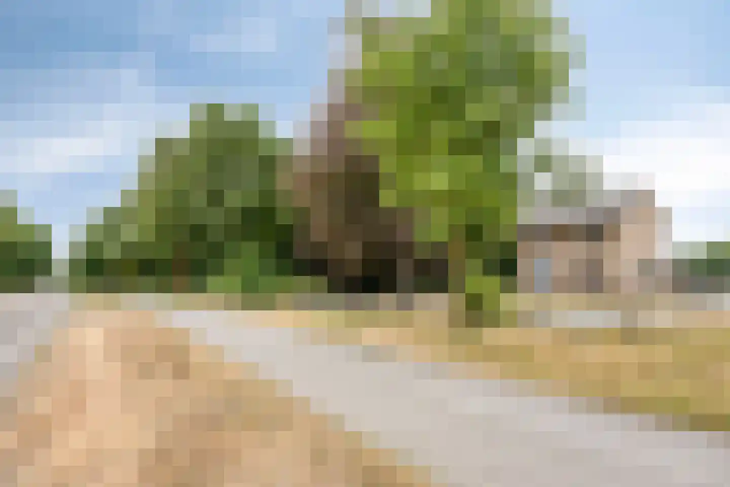 Nistelrodeseweg 24 Heesch thumbnail 44