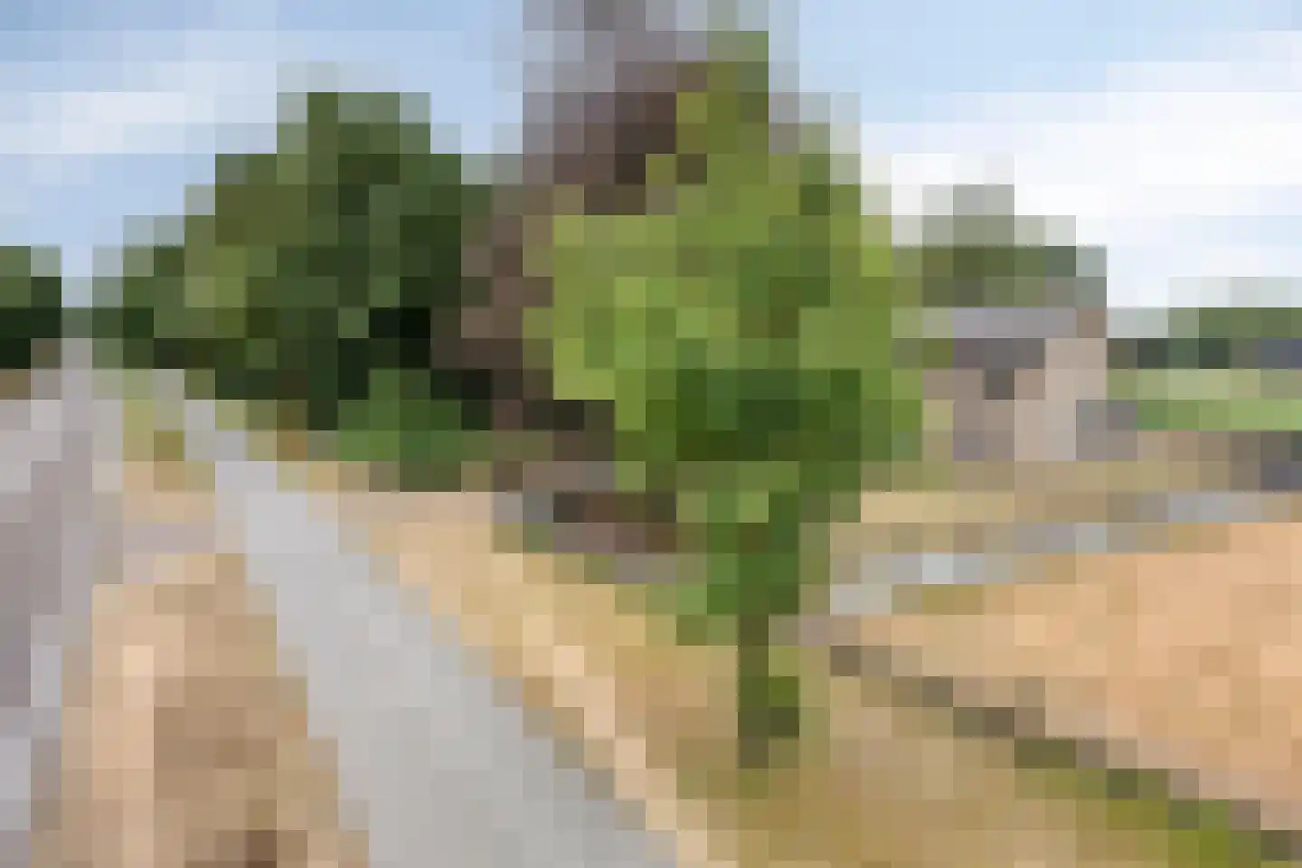 Nistelrodeseweg 24 Heesch thumbnail 46