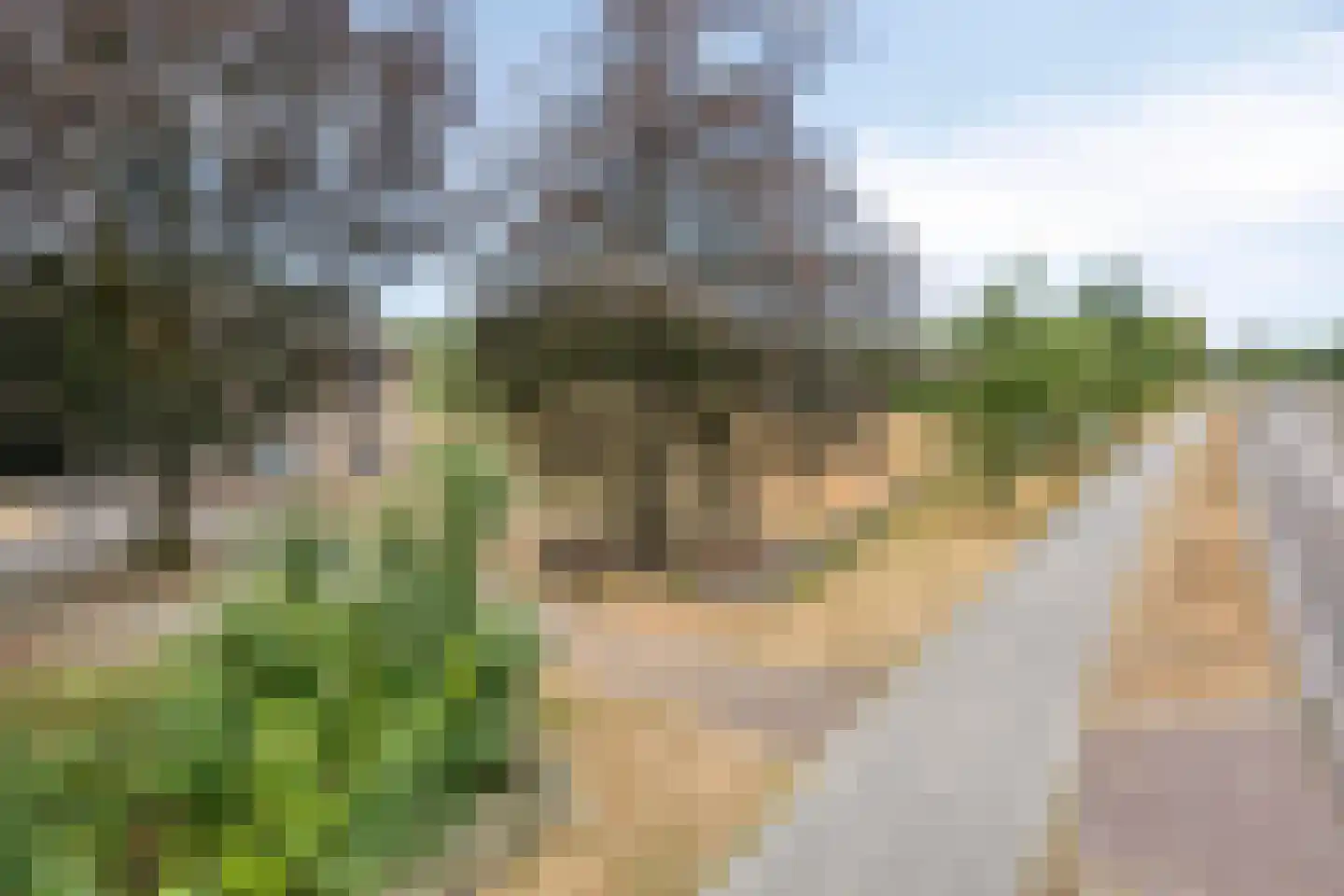 Nistelrodeseweg 24 Heesch thumbnail 50