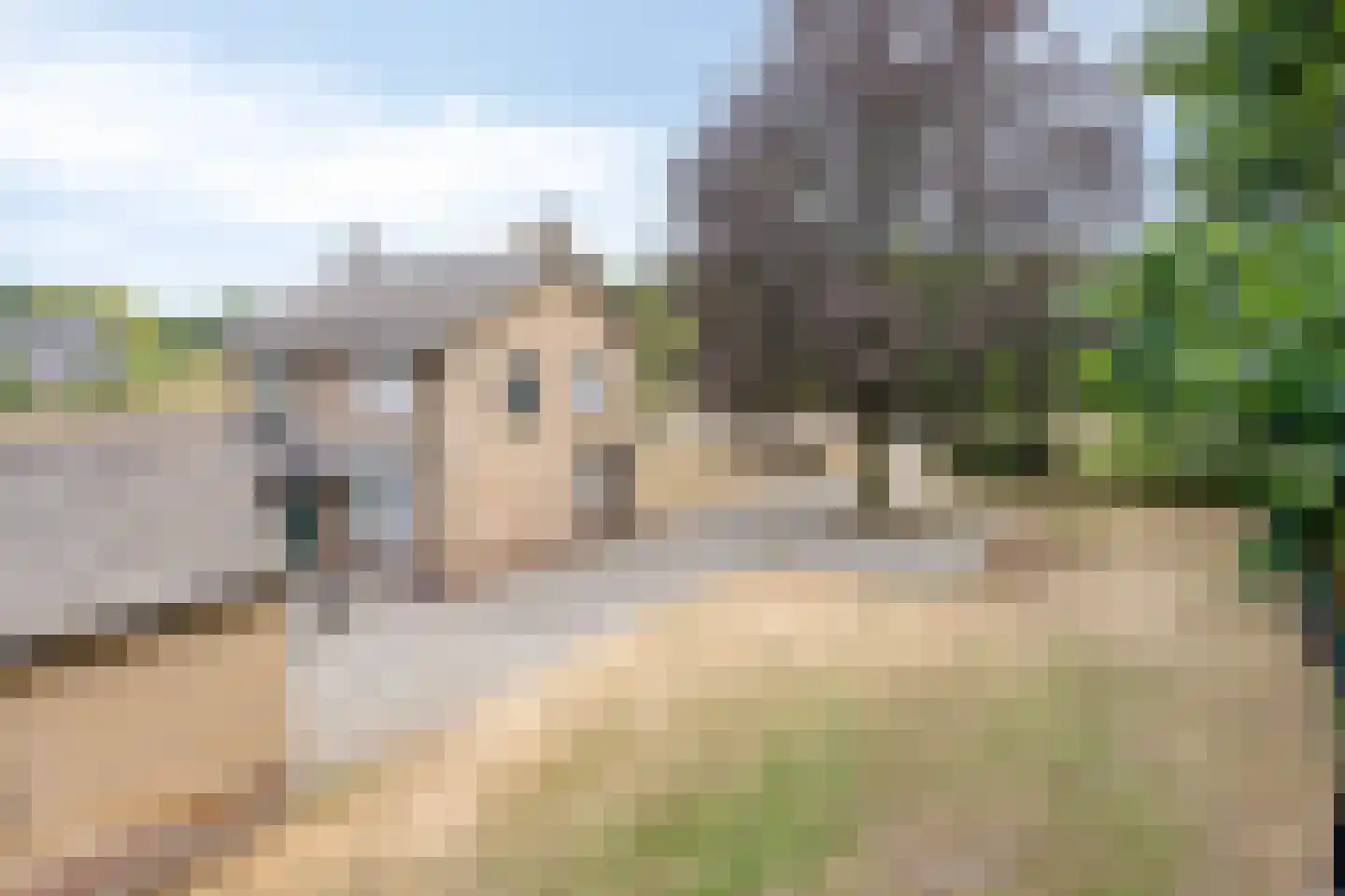 Nistelrodeseweg 24 Heesch thumbnail 52
