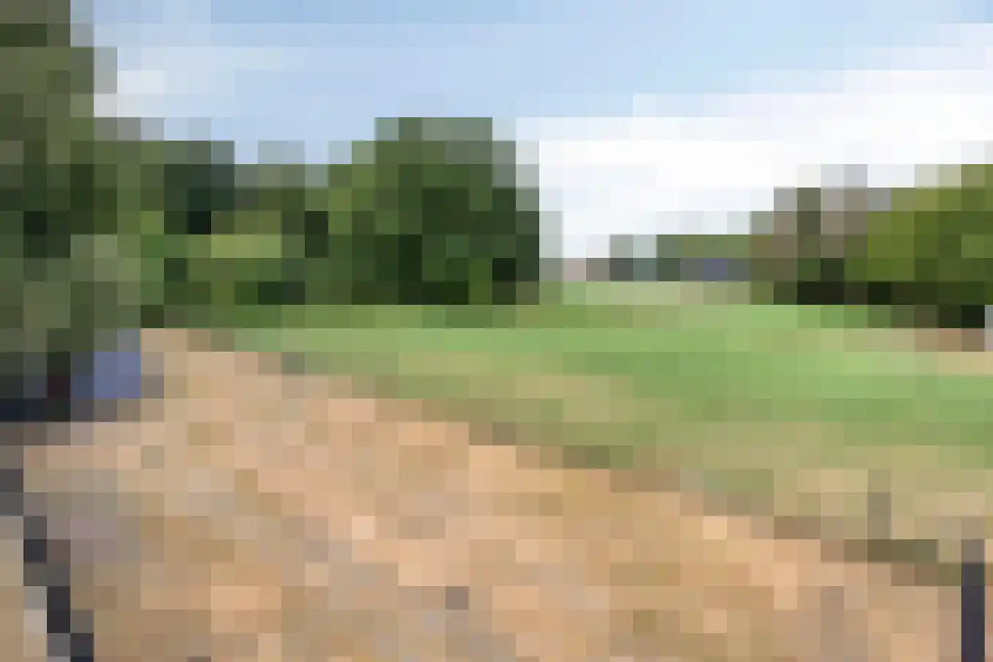 Nistelrodeseweg 24 Heesch thumbnail 54
