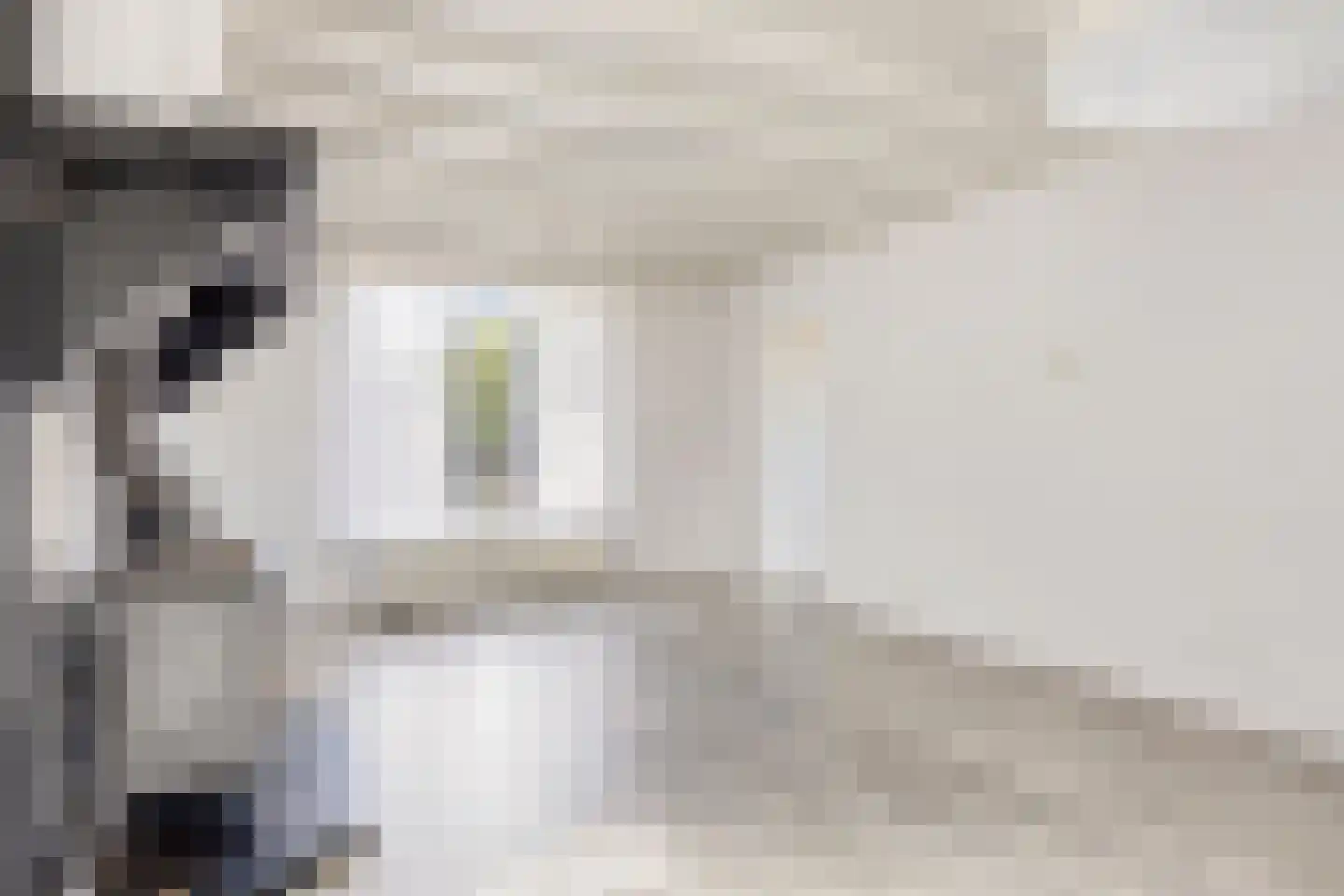 Nistelrodeseweg 24 Heesch thumbnail 9