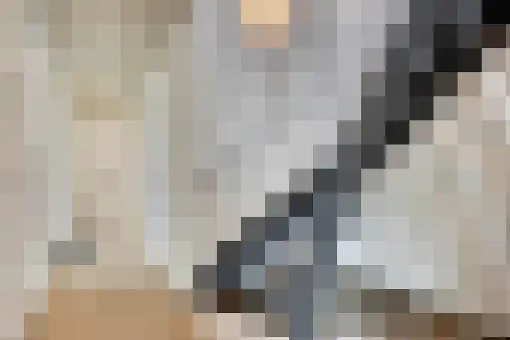 Nistelrodeseweg 65 Heesch thumbnail 10