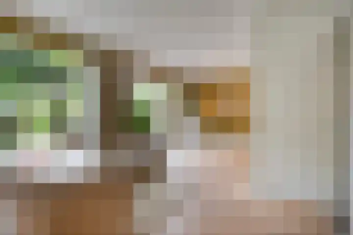 Nistelrodeseweg 65 Heesch thumbnail 12