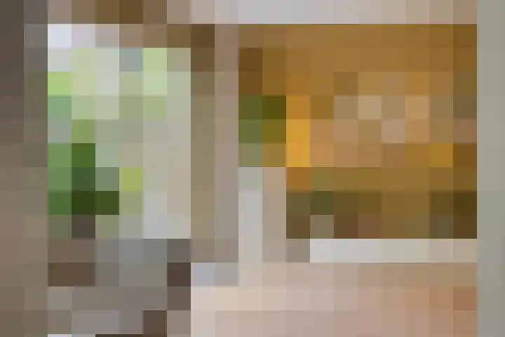 Nistelrodeseweg 65 Heesch thumbnail 13