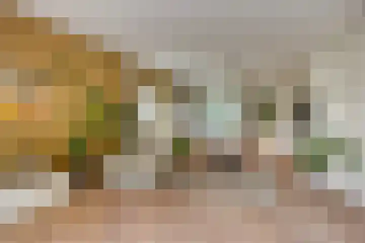 Nistelrodeseweg 65 Heesch thumbnail 14