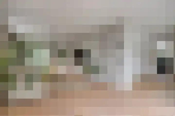 Nistelrodeseweg 65 Heesch thumbnail 15