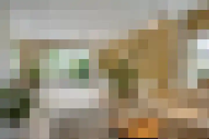 Nistelrodeseweg 65 Heesch thumbnail 16